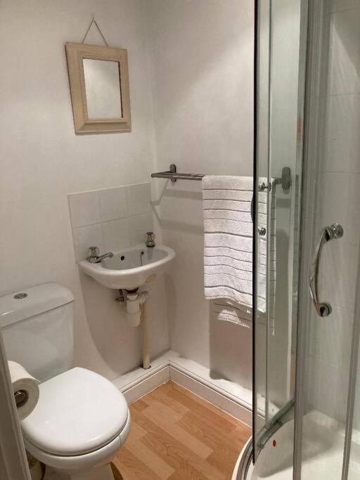Studio Annexe With Separate Shower Room Broadhempston Exterior photo